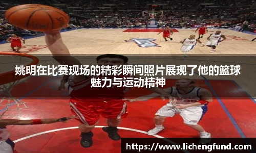 zoty中欧