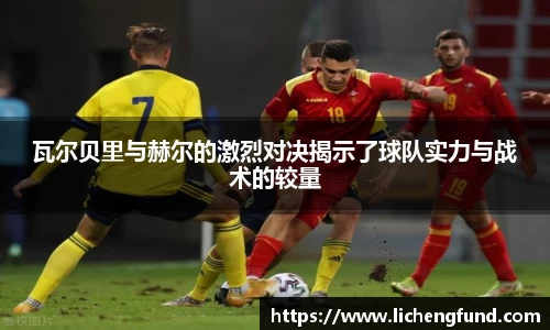 zoty中欧